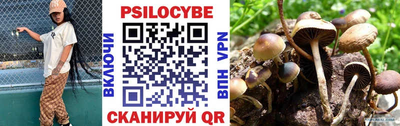 Псилоцибиновые грибы Cubensis  Купить закладки  Шарья 